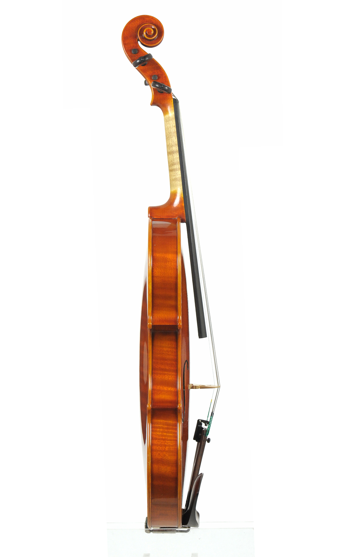 Contemporary Italian master violin by Nicola Vendrame, Venice Violins