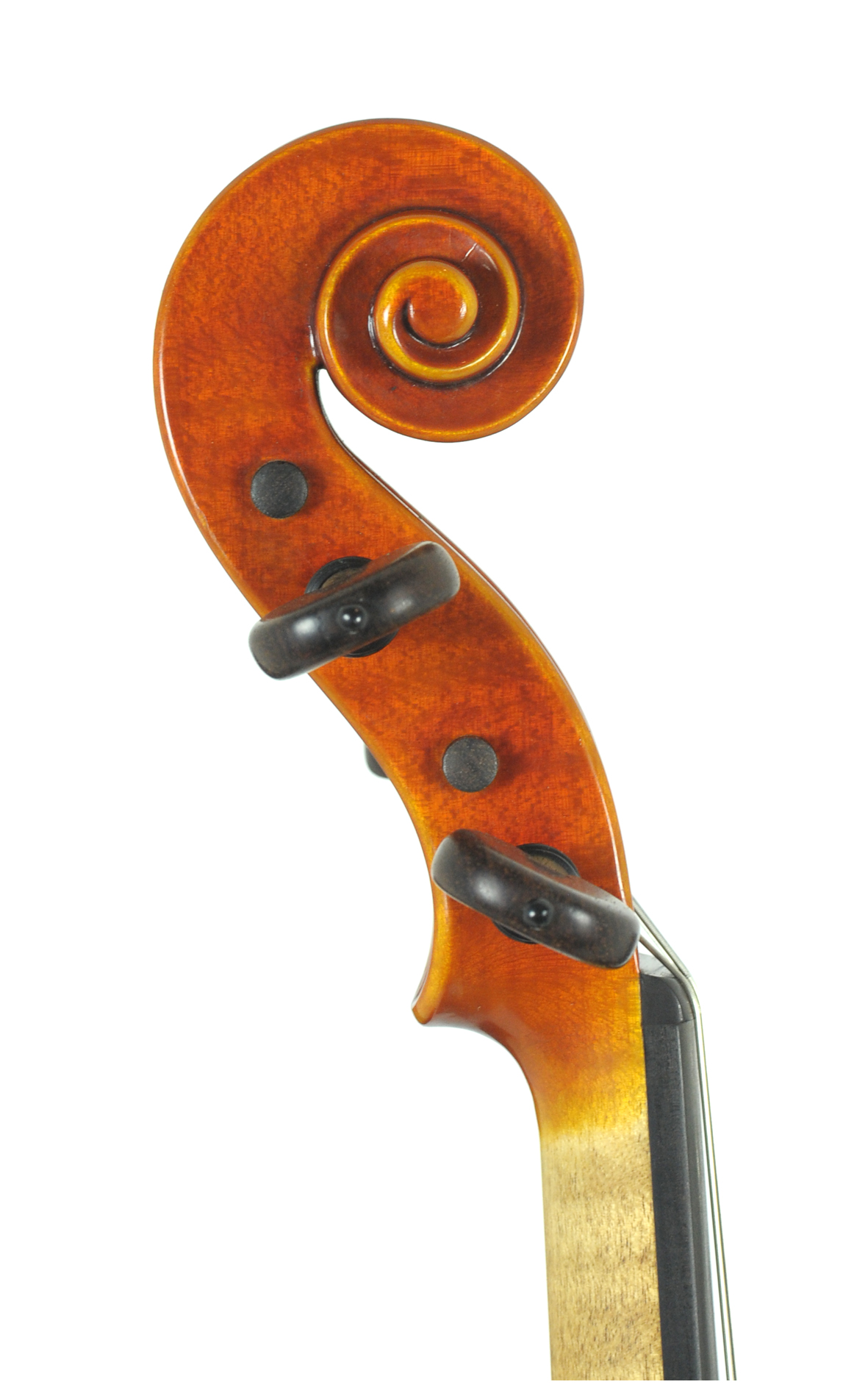 Contemporary Italian master violin by Nicola Vendrame, Venice Violins
