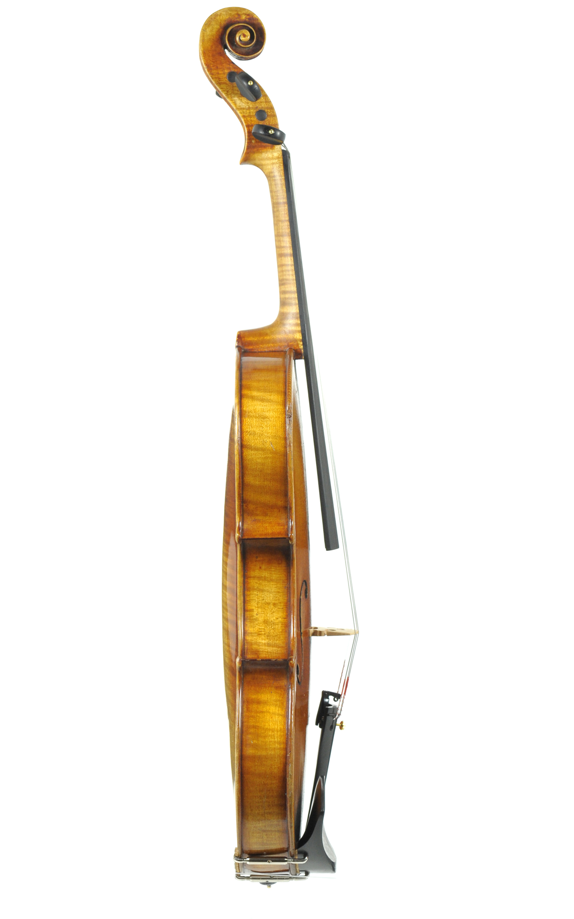 Exceptional violin from Saxony, Ole Bull model Violins, Saxony / Unknown